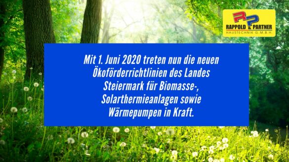 Neue Ökorichtlinien - Installateur beratet